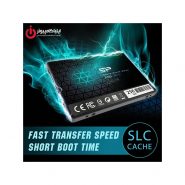 حافظه SSD سیلیکون پاور مدل A55 ظرفیت 256 گیگابایت
