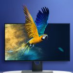 مبدل USB-C به Mini DisplayPort یوگرین مدل CM236