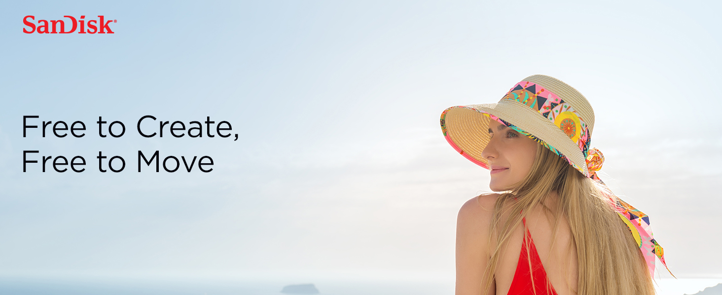 فلش مموری سن دیسک مدل SANDISK iXpand Flash Drive Luxe ظرفیت 256GB