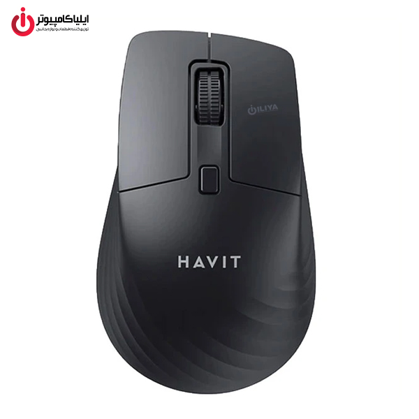 HAVIT MS58WB