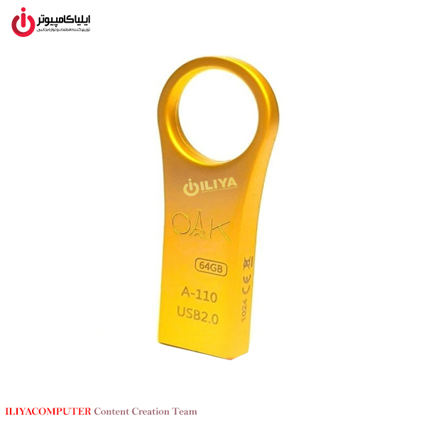 خرید فلش مموری اوآک مدل OAK A-110 64GB از ایلیاکامپیوتر مشهد
